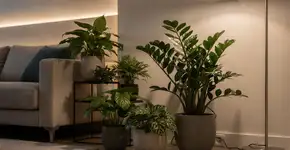 Foto: (Imagem sem texto alternativo disponivel ID [2719642])