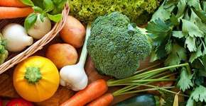 Faça dieta e controle os carboidratos pelo celular