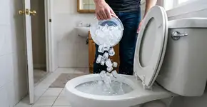 Jogar gelo no vaso sanitário: o truque caseiro que recomendam fazer uma vez por semana