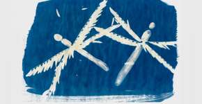 Atividade de experimentação e técnicas de fotograma