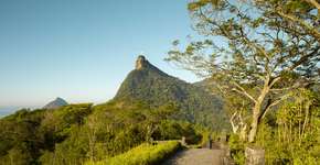 Descubra 3 trilhas fáceis no Rio de Janeiro que vão encantar toda a família