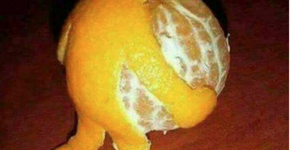 Foto: (Imagem sem texto alternativo disponivel ID [1441819])