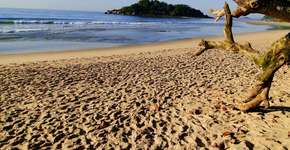 Foto: (Divulgação/Setur-Guarujá)