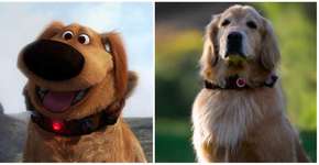 Conheça o Dug de ‘Up!’ da vida real: o cachorro falante