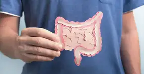 Foto: (Elena Nechaeva/istock)