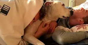 Foto: (Imagem sem texto alternativo disponivel ID [831095])