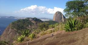 Pratique ecoturismo gratuito no Morro da Babilônia