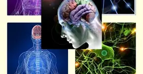 Foto: (Imagem sem texto alternativo disponivel ID [1842159])