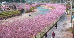 Foto: (Imagem sem texto alternativo disponivel ID [1545275])