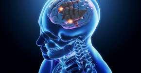 Estudo descobre comportamento que é forte fator de risco para Alzheimer