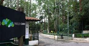 Foto: (Imagem sem texto alternativo disponivel ID [1546561])