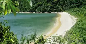 Foto: (FernandoPodolski/iStock)