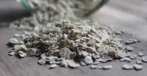 Aveioca low carb para quem ama ser fitness