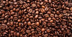 Foto: (Getty Images/iStockphoto)