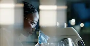 Foto: (Bevan Goldswain/istock)