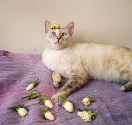 Reprodução / Instagram