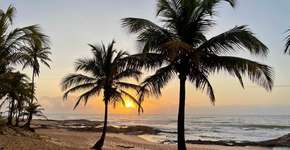 Foto: (Istock/Maria cristina Marquez carneiro)