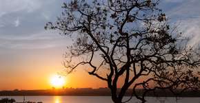 Opções de passeios para contemplar a natureza em Brasília