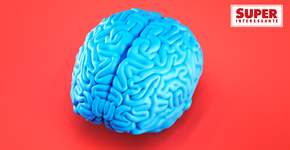 Foto: (Imagem sem texto alternativo disponivel ID [1868020])