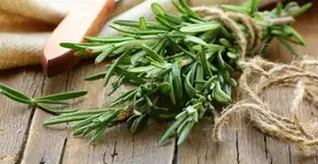 Banhos energéticos: 5 opções para atrair equilíbrio e boas energias