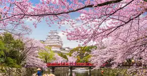 Dois destinos apaixonantes para conhecer na Ásia