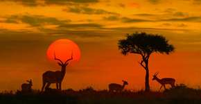 7 viagens que custam menos que um iPhone XS Max