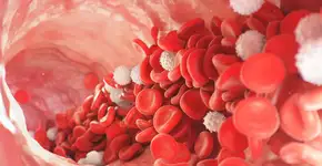 Legume que é renegado por muitos ajuda quem tem anemia; veja qual