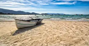 Foto: (Shutterstock)