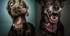 Foto: (Imagem sem texto alternativo disponivel ID [1141823])