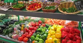 Foto: (Imagem sem texto alternativo disponivel ID [1007273])