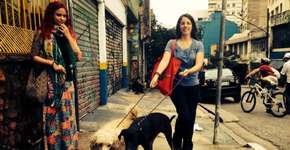 Foto: (Imagem sem texto alternativo disponivel ID [1025949])