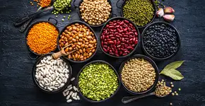 Descubra as principais fontes de proteína vegetal