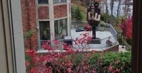 Foto: (Imagem sem texto alternativo disponivel ID [574380])