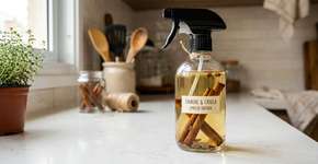 Mistura de vinagre e canela: para que serve e por que é recomendada