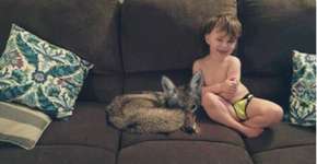 Foto: (Imagem sem texto alternativo disponivel ID [1173651])