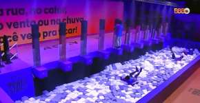 Foto: (Reprodução/TV Globo)