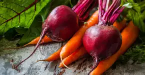 Suco de beterraba com cenoura aumenta a libido e melhora o desempenho físico