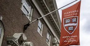 Foto: (Marcio Silva/iStock)