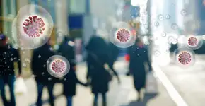 Foto: (imagedepotpro/istock)