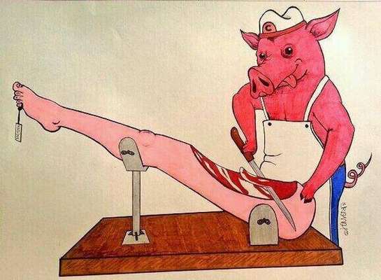 Desenhos fazem crítica da relação homem/animal (Imagem: Divulgação)