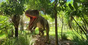 Foto: (Márcio Diniz/Catraca Livre)