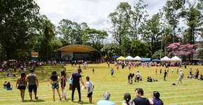 Foto: (Omar Matsumoto)