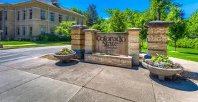 Foto: (Divulgação)