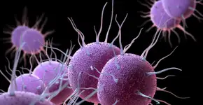 Foto: (iLexx/istock)