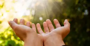 Foto: (Imagem sem texto alternativo disponivel ID [2721291])