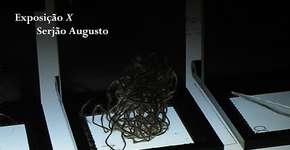 Foto: (Imagem sem texto alternativo disponivel ID [1848550])