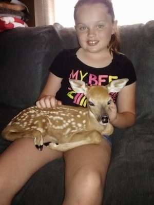 A família afirma que o animal é inofensivo (Reprodução/Jodi Proger)
