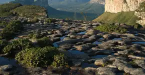 Gol faz promoção relâmpago de passagens a partir de R$ 112