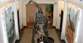 USP abre vagas em ‘curso’ gratuito; saiba como se inscrever