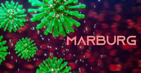 Foto: (ayhan turan/istock)